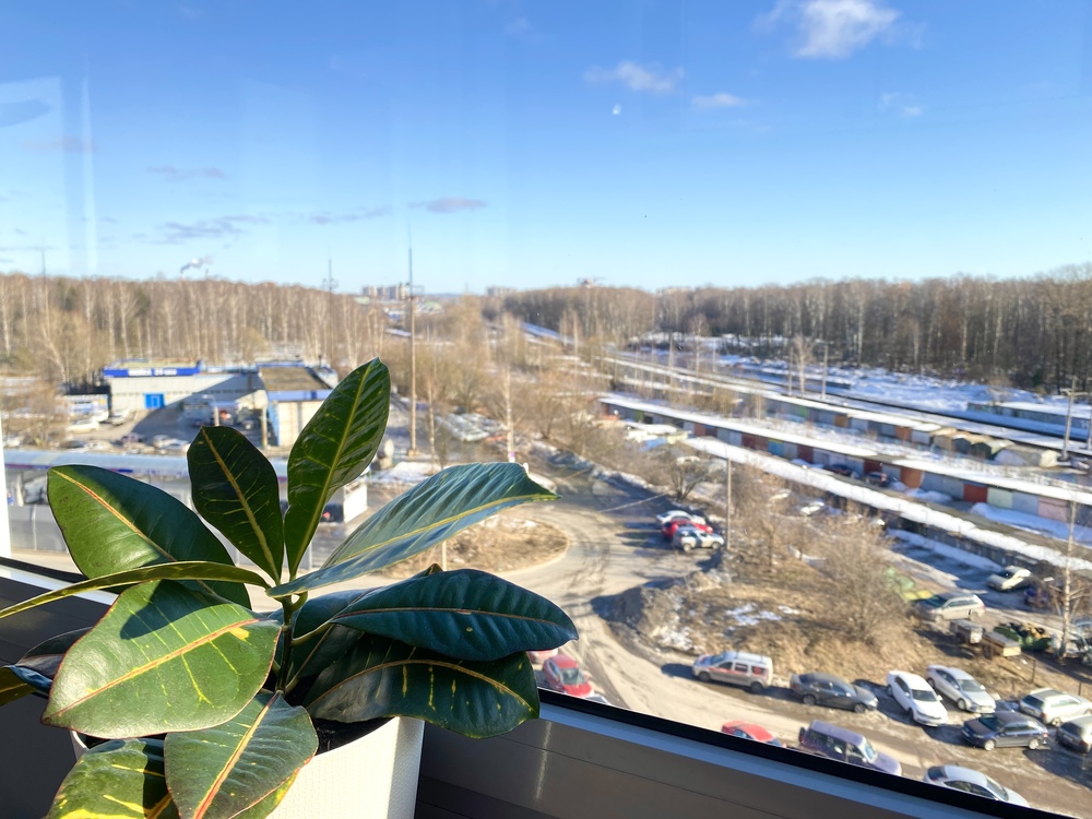 lod-9-IMG_7293
